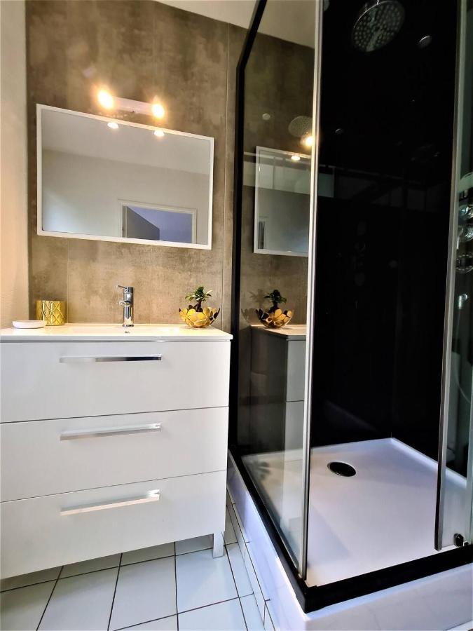 Joli T2 Lumineux Et Cosy Au Centre D'Annecy Apartment Luaran gambar