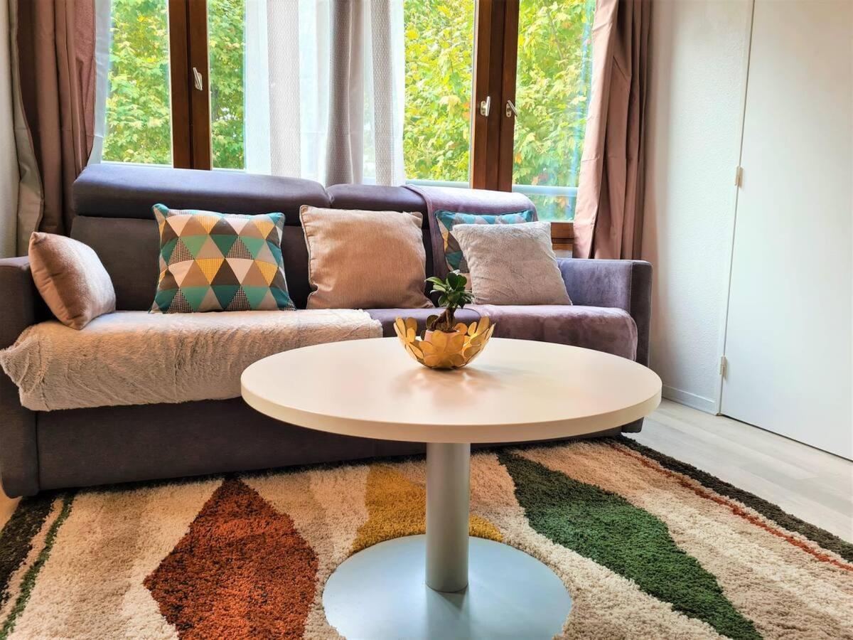 Joli T2 Lumineux Et Cosy Au Centre D'Annecy Apartment Luaran gambar
